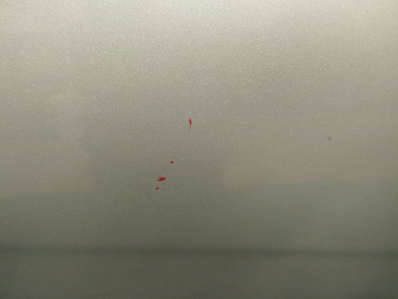 Recambio de puerta trasera izquierda para seat leon (1p1) 1.9 tdi referencia OEM IAM   