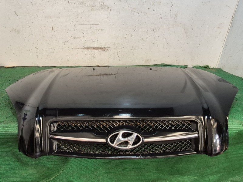 Recambio de capot para hyundai tucson (jm) 2.0 crdi referencia OEM IAM   