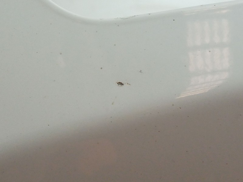 Recambio de capot para chevrolet cruze (j300) 2.0 cdi referencia OEM IAM   