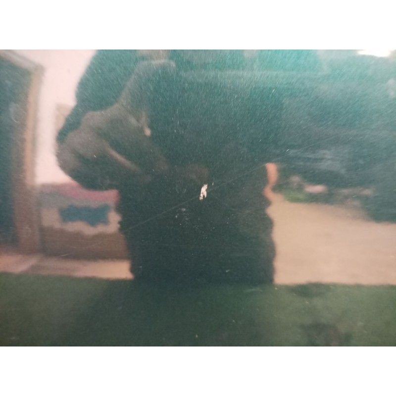 Recambio de puerta delantera izquierda para mercedes-benz clase e (w211) e 320 cdi (211.026) referencia OEM IAM   