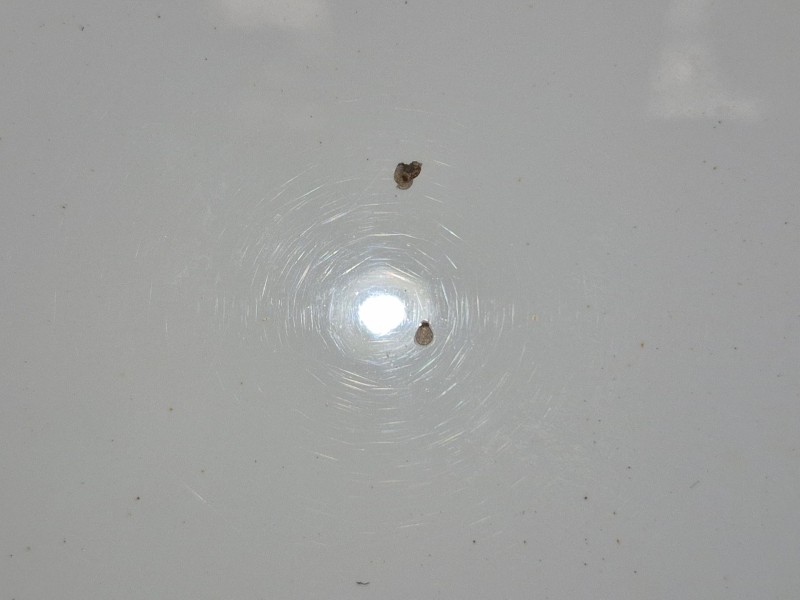 Recambio de capot para hyundai ix20 (jc) 1.4 referencia OEM IAM   