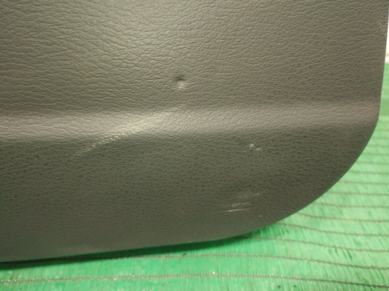 Recambio de guarnecido puerta delantera izquierda para bmw x5 (e53) 3.0 d referencia OEM IAM   