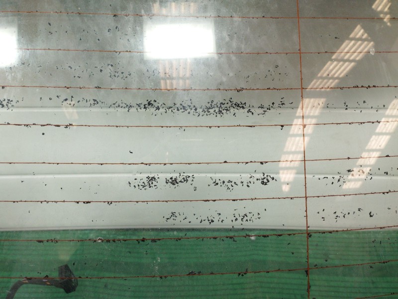 Recambio de porton trasero para bmw x5 (e70) 3.0 d referencia OEM IAM   