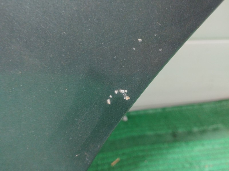 Recambio de puerta trasera izquierda para bmw x5 (e70) 3.0 d referencia OEM IAM   