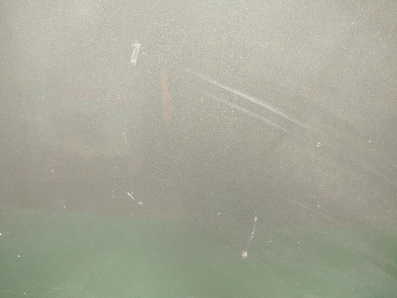 Recambio de puerta delantera izquierda para bmw x5 (e70) 3.0 d referencia OEM IAM   