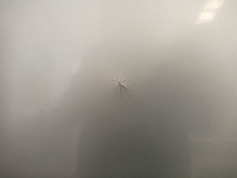 Recambio de capot para bmw 3 (e46) 320 d referencia OEM IAM   