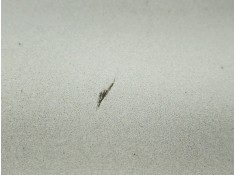 Recambio de tapa maletero para bmw 3 (e46) 320 d referencia OEM IAM    2