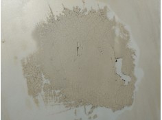 Recambio de capot para cadillac cts 3.0 referencia OEM IAM    2