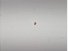 Recambio de capot para volkswagen golf iv (1j1) 1.9 tdi referencia OEM IAM    2