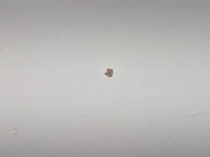 Recambio de capot para volkswagen golf iv (1j1) 1.9 tdi referencia OEM IAM   