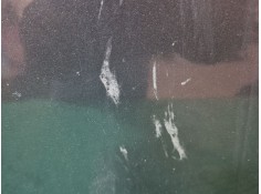 Recambio de capot para volkswagen passat b6 (3c2) 1.9 tdi referencia OEM IAM    2