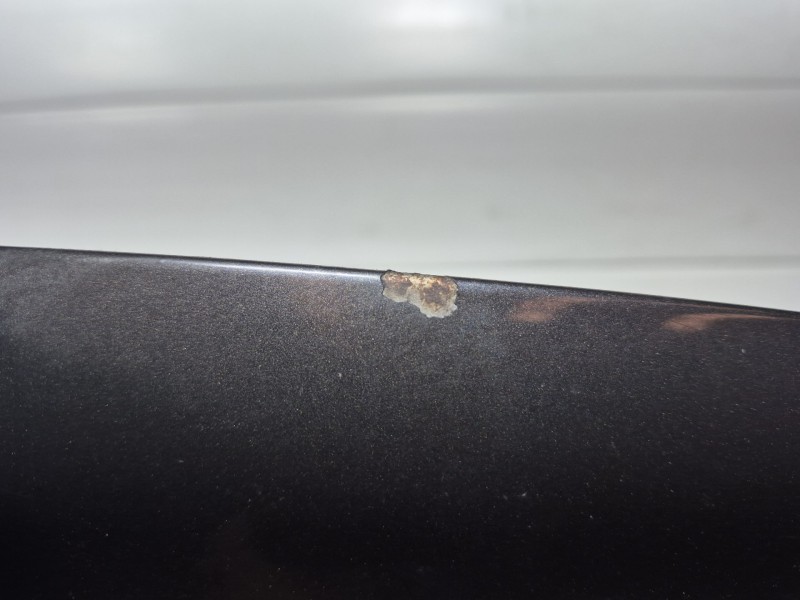 Recambio de capot para volkswagen passat b6 (3c2) 1.9 tdi referencia OEM IAM   