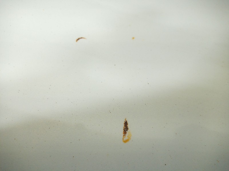 Recambio de tapa maletero para cadillac cts 3.0 referencia OEM IAM   