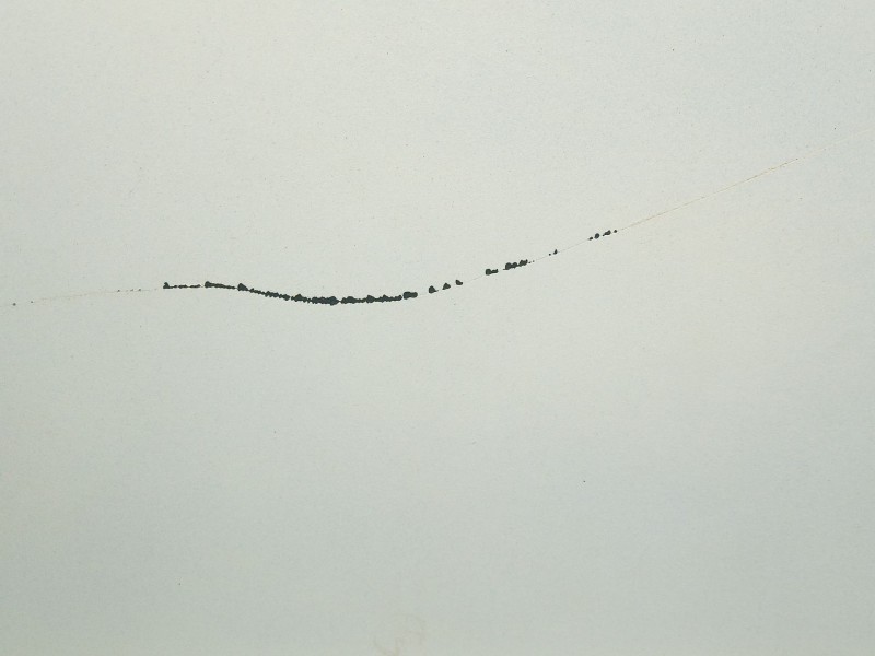 Recambio de puerta trasera derecha para cadillac cts 3.0 referencia OEM IAM   