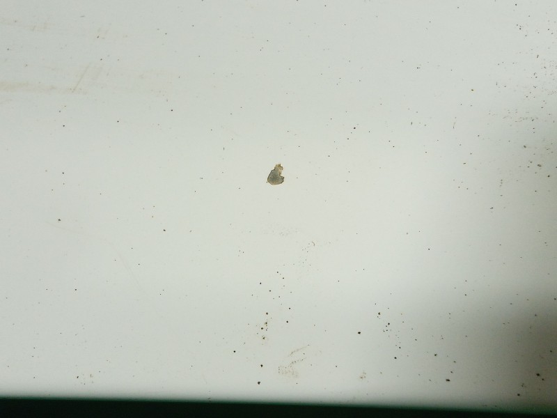 Recambio de capot para peugeot 207 cc (wd_) 1.6 hdi referencia OEM IAM   