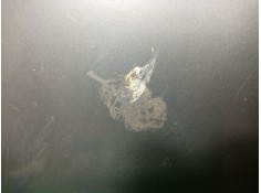 Recambio de capot para volkswagen golf plus v (5m1, 521) 1.6 referencia OEM IAM    2