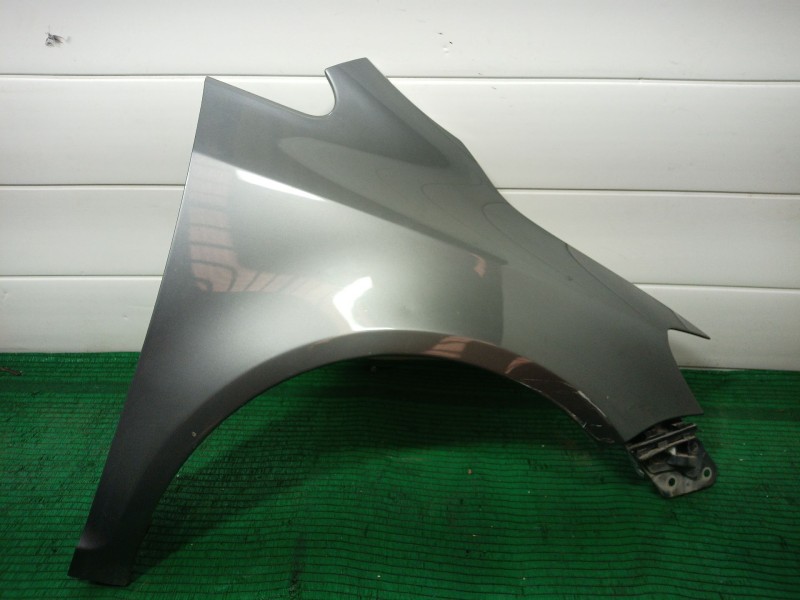 Recambio de aleta delantera derecha para volkswagen golf plus v (5m1, 521) 1.6 referencia OEM IAM   