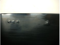 Recambio de capot para citroën c2 (jm_) 1.4 referencia OEM IAM    2