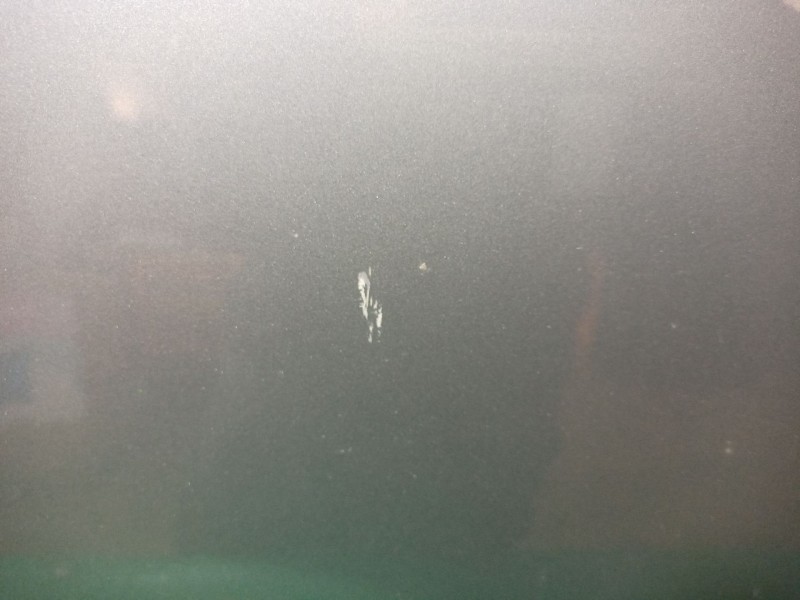 Recambio de puerta delantera derecha para volkswagen golf plus v (5m1, 521) 1.6 referencia OEM IAM   