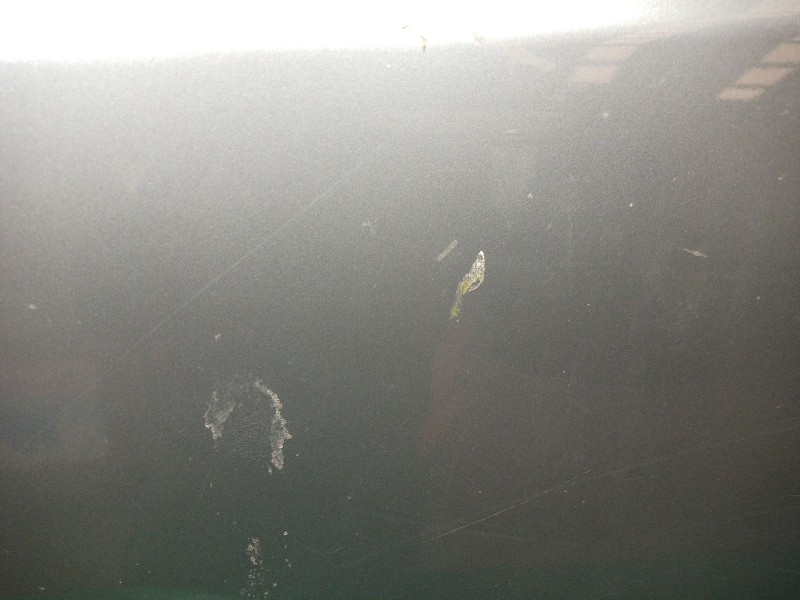 Recambio de puerta trasera izquierda para volkswagen golf plus v (5m1, 521) 1.6 referencia OEM IAM   