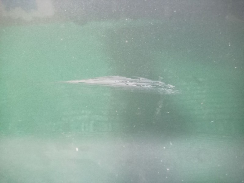 Recambio de puerta trasera izquierda para volkswagen golf plus v (5m1, 521) 1.6 referencia OEM IAM   