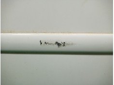 Recambio de puerta trasera derecha para volkswagen golf iv (1j1) 1.9 tdi referencia OEM IAM    2