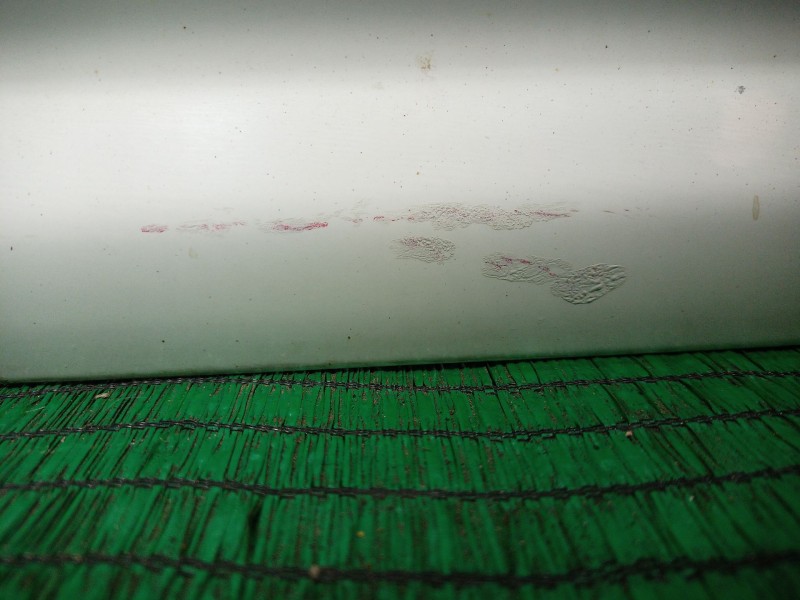 Recambio de puerta trasera izquierda para volkswagen golf iv (1j1) 1.9 tdi referencia OEM IAM   