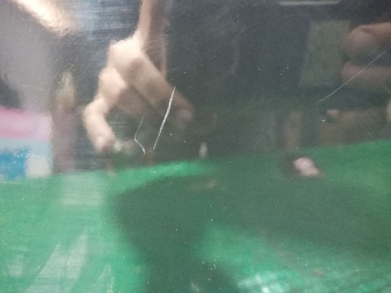 Recambio de puerta trasera derecha para peugeot 208 i (ca_, cc_) 1.2 vti 82 referencia OEM IAM   