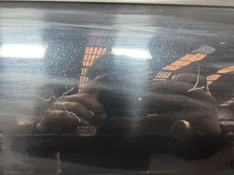 Recambio de puerta delantera derecha para ford focus iii 1.6 ti referencia OEM IAM   