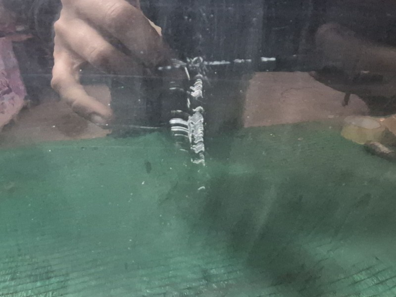 Recambio de puerta delantera derecha para ford focus iii 1.6 ti referencia OEM IAM   