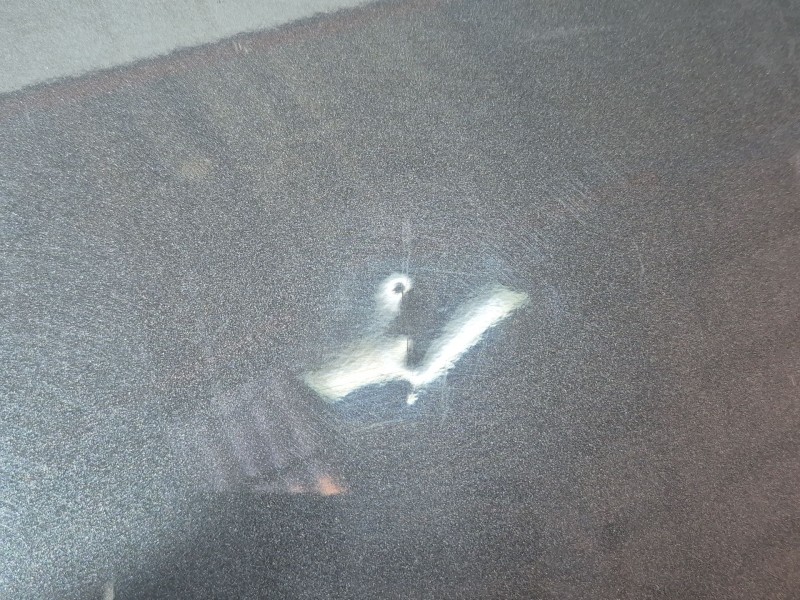 Recambio de puerta trasera izquierda para citroën c4 ii (nc_) 1.6 hdi 90 referencia OEM IAM   