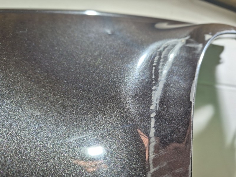 Recambio de aleta delantera izquierda para audi a4 b7 (8ec) 2.0 referencia OEM IAM   