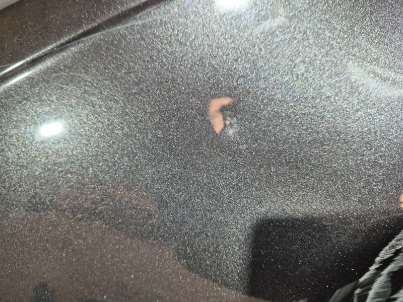 Recambio de aleta delantera izquierda para audi a4 b7 (8ec) 2.0 referencia OEM IAM   