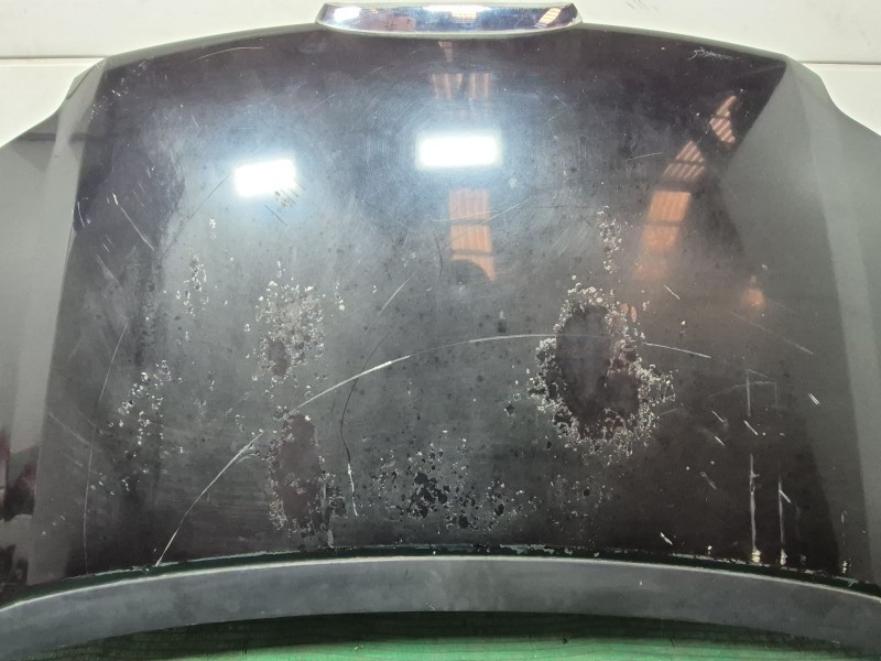 Recambio de capot para seat alhambra (710, 711) 2.0 tdi referencia OEM IAM   