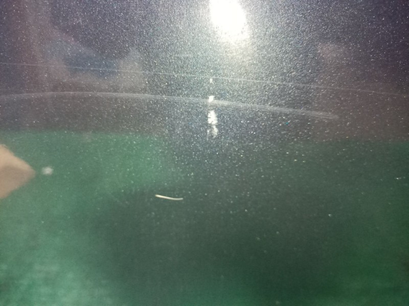 Recambio de puerta delantera derecha para mercedes-benz clase e (w210) e 320 cdi (210.026) referencia OEM IAM   