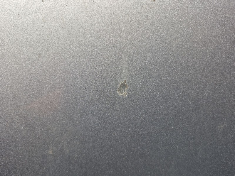 Recambio de capot para seat leon (1p1) 1.6 tdi referencia OEM IAM   