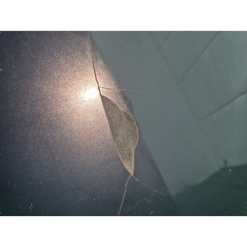 Recambio de paragolpes trasero para mazda cx-7 (er) 2.3 mzr disi turbo awd (er3p) referencia OEM IAM   