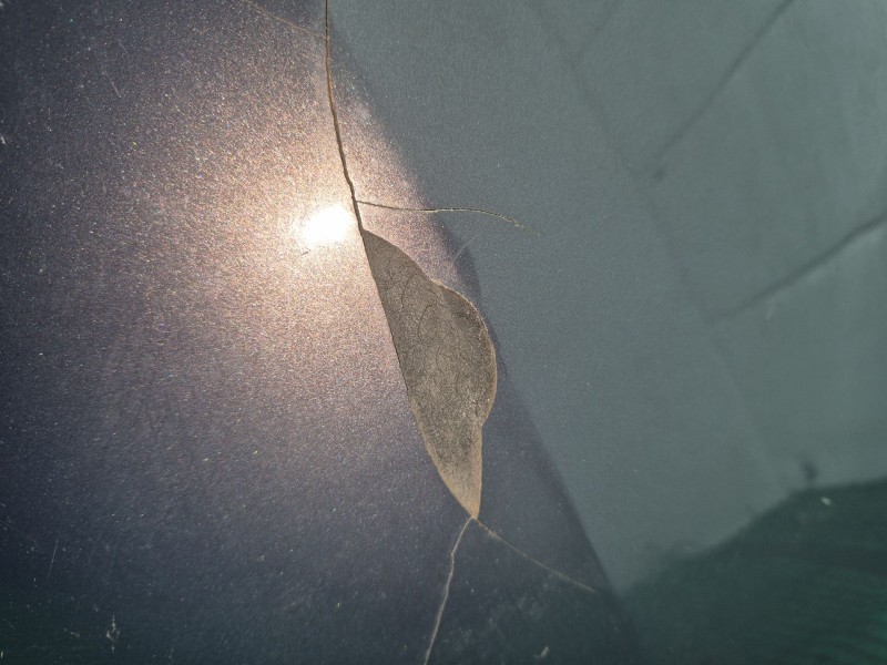 Recambio de paragolpes trasero para mazda cx-7 (er) 2.3 mzr disi turbo awd (er3p) referencia OEM IAM   