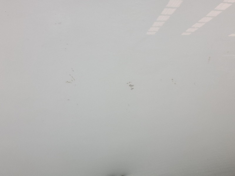 Recambio de puerta delantera izquierda para renault megane iii coupé (dz0/1_) 1.5 dci referencia OEM IAM   