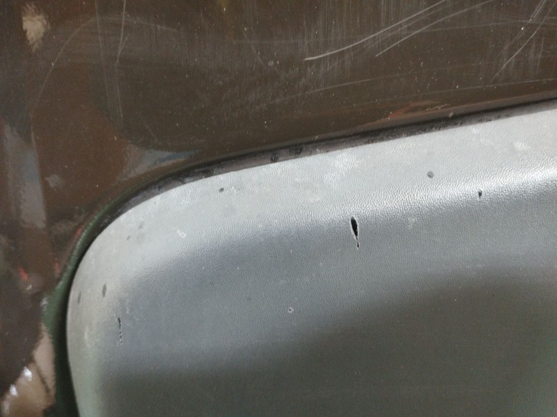 Recambio de puerta delantera izquierda para fiat ducato autobús (250_) 130 multijet 2,3 d referencia OEM IAM   