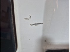 Recambio de puerta lateral corredera izquierda para ford transit connect (tc7) 1.8 tddi turbodiesel cat referencia OEM IAM    2