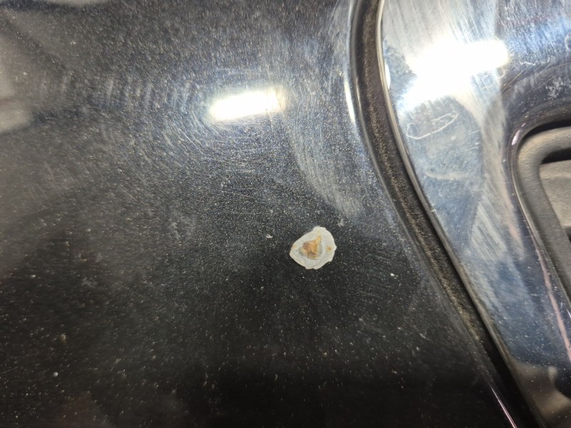 Recambio de capot para lancia ypsilon (843_) 1.4 lpg (843.axg1a) referencia OEM IAM   