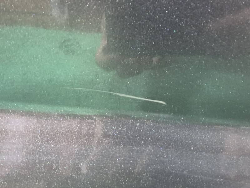 Recambio de puerta delantera derecha para seat ibiza iv (6j5, 6p1) 1.2 tsi referencia OEM IAM   