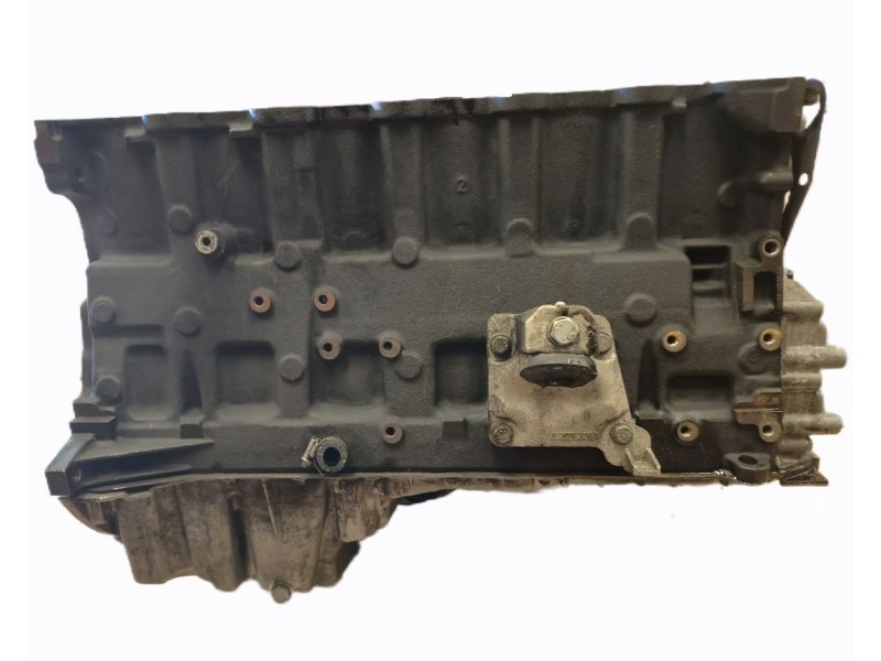 Recambio de bloque para bmw 5 (e39) 530 d referencia OEM IAM 306D1 306D1 306D1