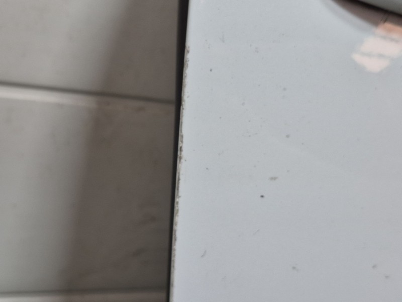 Recambio de puerta delantera derecha para audi s5 cabriolet (8f7) 3.0 tfsi referencia OEM IAM   