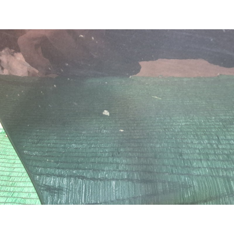 Recambio de puerta trasera izquierda para opel zafira / zafira family b (a05) 1.9 cdti (m75) referencia OEM IAM   