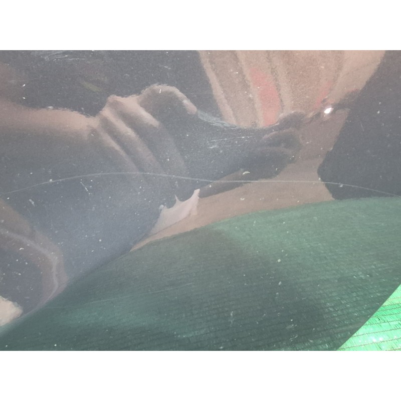 Recambio de puerta trasera izquierda para opel zafira / zafira family b (a05) 1.9 cdti (m75) referencia OEM IAM   