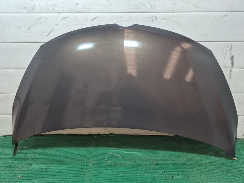Recambio de capot para opel zafira / zafira family b (a05) 1.9 cdti (m75) referencia OEM IAM   