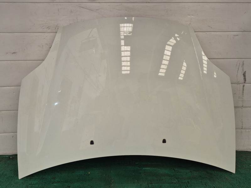 Recambio de capot para fiat bravo ii (198_) 1.6 d multijet (198axh1b) referencia OEM IAM   