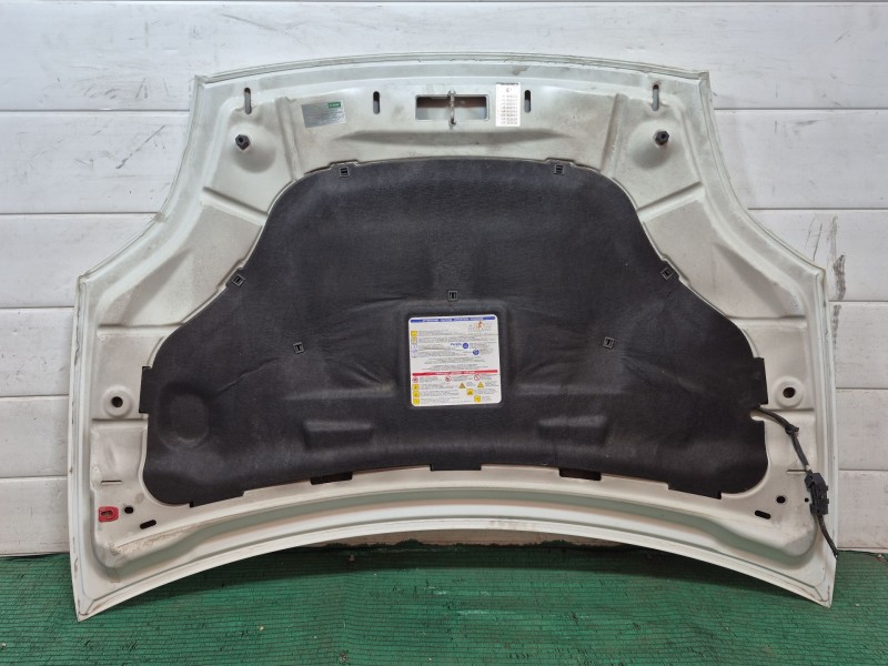 Recambio de capot para fiat bravo ii (198_) 1.6 d multijet (198axh1b) referencia OEM IAM   